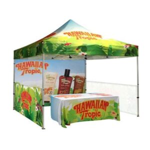 Canopy tent with back and side wall and table with cover